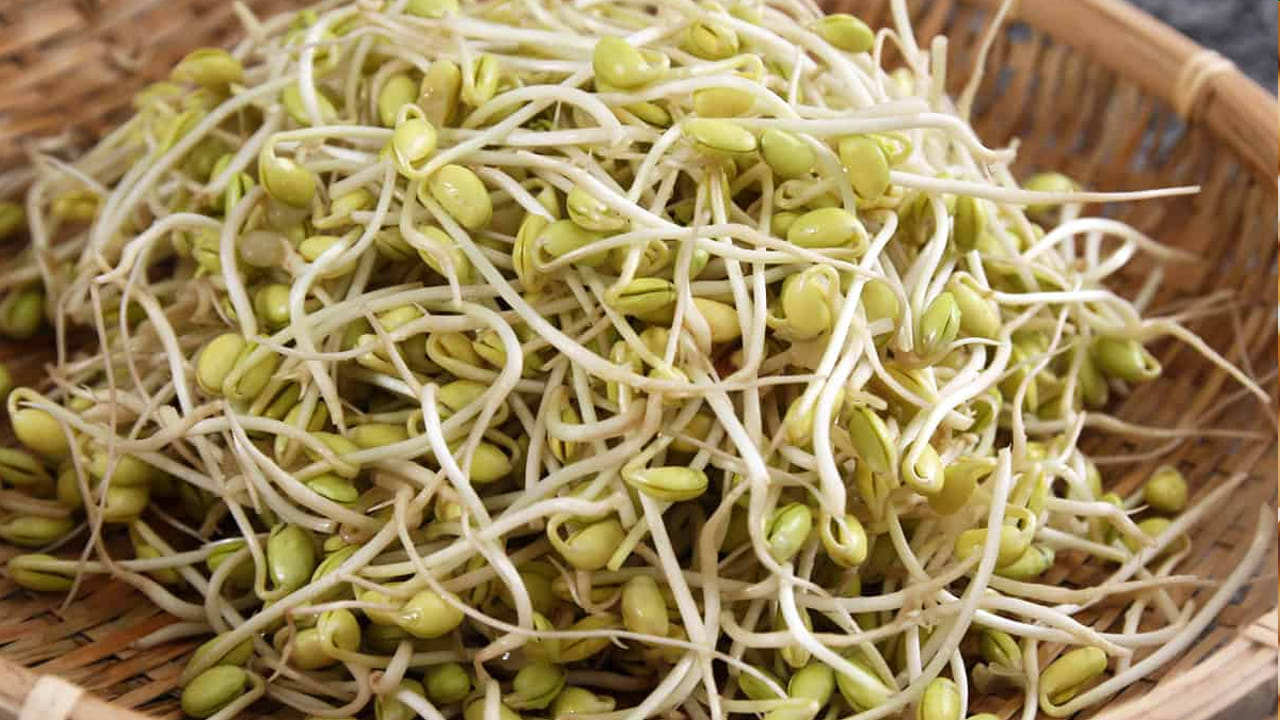 మొలకెత్తిన సోయాబీన్స్ - మొలకెత్తిన సోయాబీన్స్ మీ శరీరానికి అనేక ప్రయోజనాలను కలిగి ఉన్న అత్యంత పోషకమైన ఆహారం. 70 గ్రాముల సోయాబీన్లో 85 కేలరీలు, 9 గ్రాముల ప్రోటీన్, 12శాతం విటమిన్ సి, 30శాతం ఫోలేట్, 8శాతం ఐరన్ ఉంటాయి. మొలకెత్తిన సోయాబీన్లో ఫైటిక్ యాసిడ్ స్థాయి తగ్గుతుంది. ఫైటిక్ యాసిడ్ అనేది ఐరన్, జింక్, కాల్షియం వంటి ఖనిజాల శోషణను నిరోధించే పదార్థం. సోయాబీన్స్ మొలకెత్తినప్పుడు, ఈ ఆమ్లం పరిమాణం తగ్గుతుంది. శరీరం ఈ ఖనిజాలను బాగా గ్రహించడానికి వీలు కల్పిస్తుంది.