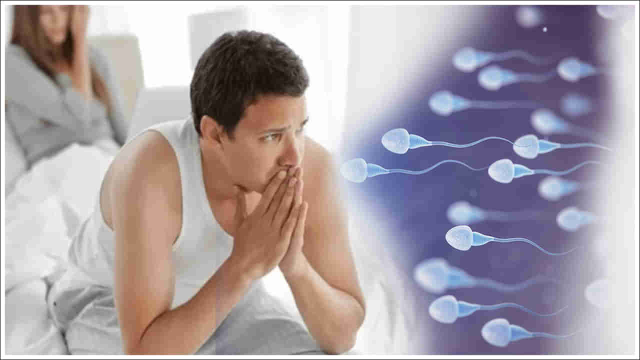 Sperm Count: బిడ్డ పుట్టాలంటే స్పెర్మ్ కౌంట్ ఎంత ఉండాలి? జంటలు తెలుసుకోవాల్సిన కీలక విషయాలు!