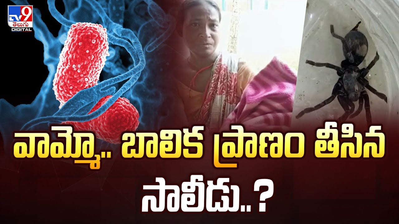 వామ్మో.. బాలిక ప్రాణం తీసిన సాలీడు