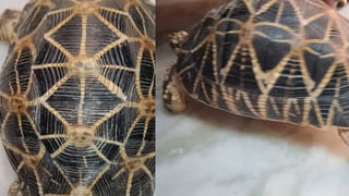 Kukatapally:  కూకట్‌పల్లి సహస్ర మర్డర్‌ కేసులో వీడిన మిస్టరీ.. చంపింది ఎవరంటే..?