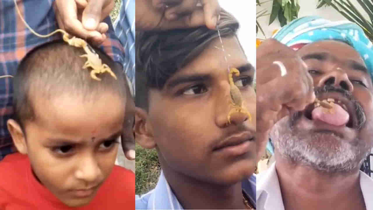 వింత ఆచారం.. శరీరంపై తేళ్లను పాకించుకుంటున్న భక్తులు.. ఎక్కడో తెలుసా?