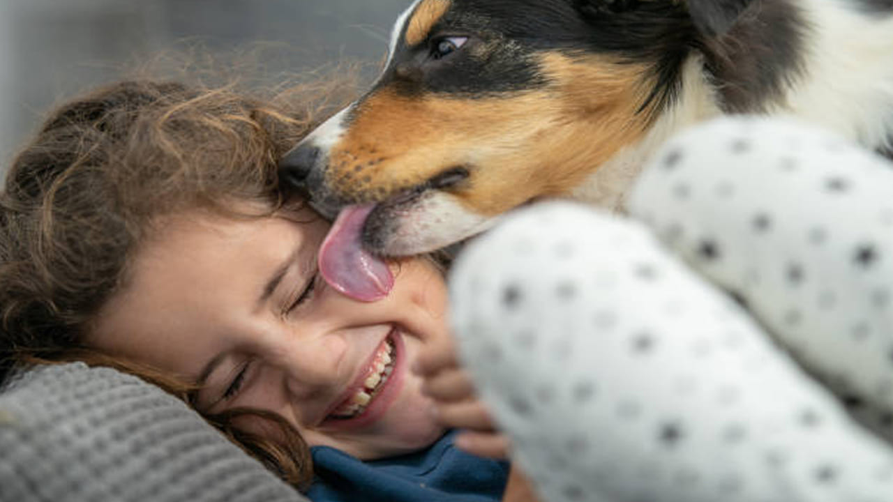 తస్మాత్‌ జాగ్రత్త..! బాలుడి గాయాన్ని నాకిన వీధి కుక్క.. చికిత్స పొందుతూ మృతి