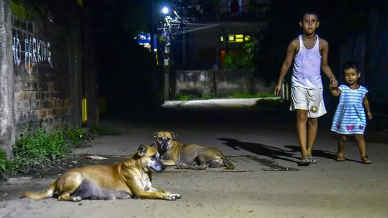 4 నెలల క్రితం కుక్క కాటు.. రేబీస్‌ వ్యాధితో చిన్నారి మృతి!