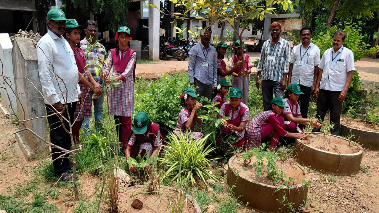 Rakhi Festival: మొక్కతో బంధం.. పర్యావరణ సుగంధం.. వినూత్నంగా రాఖీ పండగను జరుపుకున్న స్కూల్ స్టూడెంట్స్