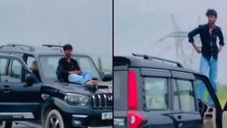 కిలో బంగారం కంటే ఈ కర్ర రేటు ఎక్కువ..! 10 గ్రాముల ధర రూ.85 లక్షల పైనే..