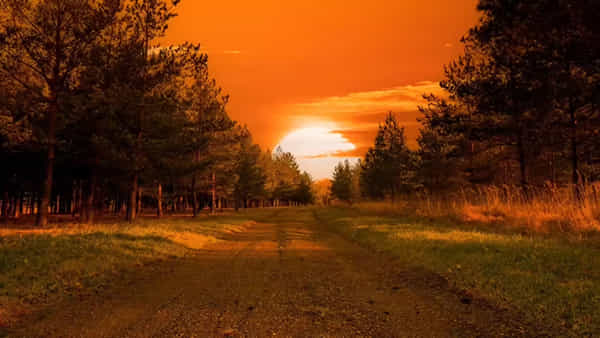 Sunset: సూర్యాస్తమం తర్వాత ఈ పనులు చేస్తున్నారా.. దరిద్ర దేవతకు, కష్టాలకు ఆహ్వానం పలికినట్లే..
