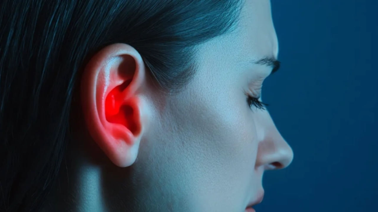 Ear Health: చెవి ఆరోగ్యానికీ ఉందో డైట్.. డాక్టర్లు చెప్తోన్న 4 సూపర్ ఫుడ్స్ ఇవే! – Telugu News | 4 Foods for Healthy Ears and Better Hearing, Says an ENT Surgeon details in telugu