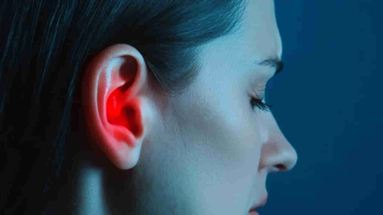 Ear Health: చెవి ఆరోగ్యానికీ ఉందో డైట్.. డాక్టర్లు చెప్తోన్న 4 సూపర్ ఫుడ్స్ ఇవే!