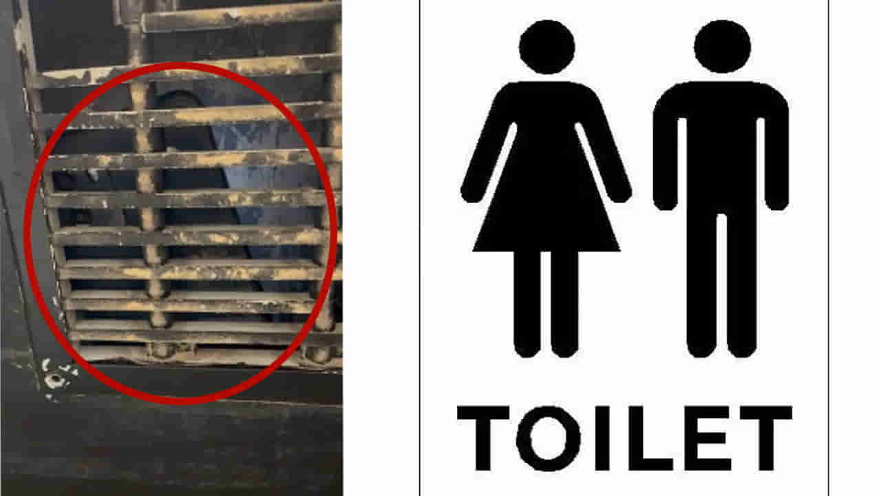 Watch Video: రెస్టారెంట్‌లో వాష్‌రూమ్‌కు వెళ్లిన మహిళ.. లోపల కనిపించింది చూసి ఒక్కసారిగా కేకలు.. కట్‌చేస్తే..