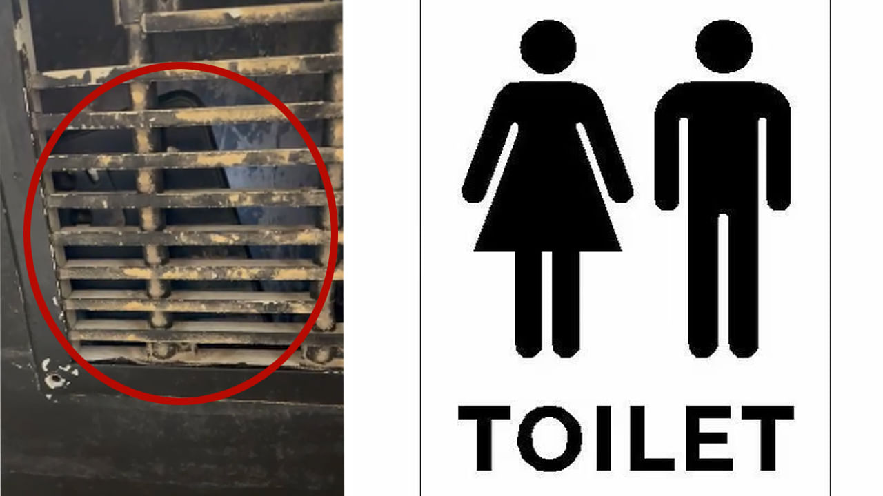 Watch Video: రెస్టారెంట్లో వాష్రూమ్కు వెళ్లిన మహిళ.. లోపల కనిపించింది చూసి ఒక్కసారిగా కేకలు.. కట్చేస్తే..