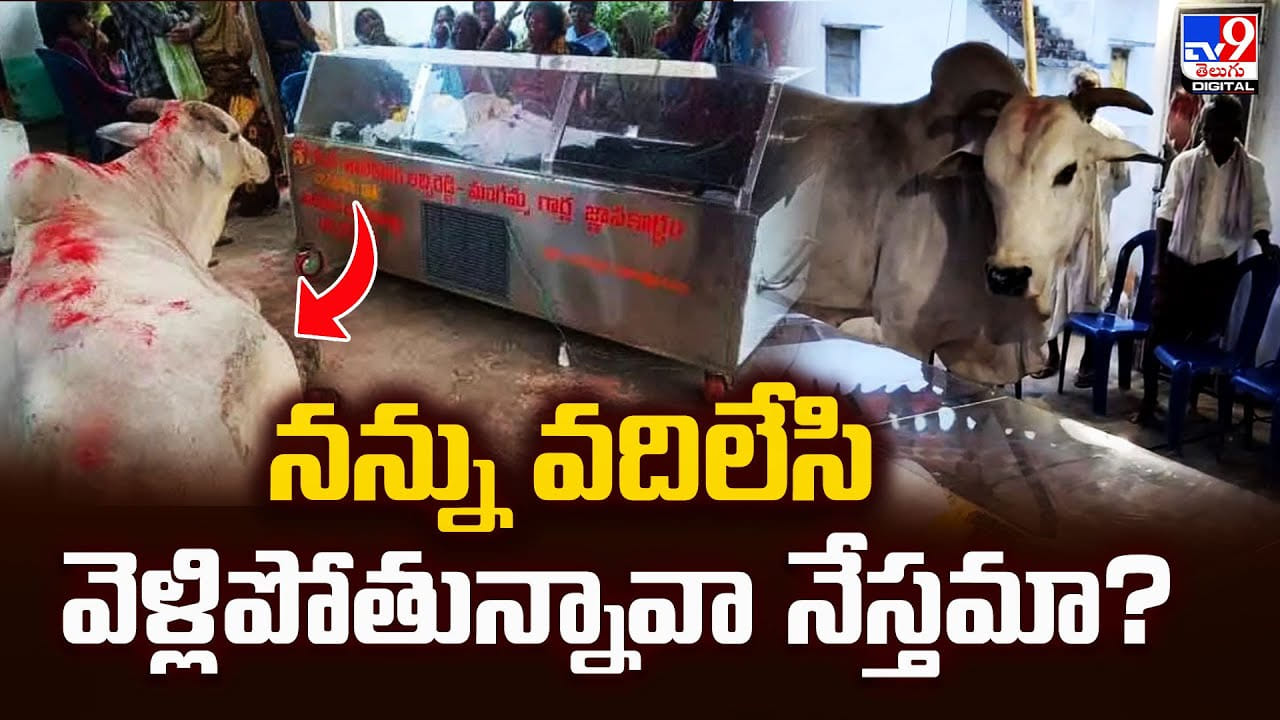 నన్ను వదిలేసి వెళ్లిపోతున్నావా నేస్తమా? వీడియో