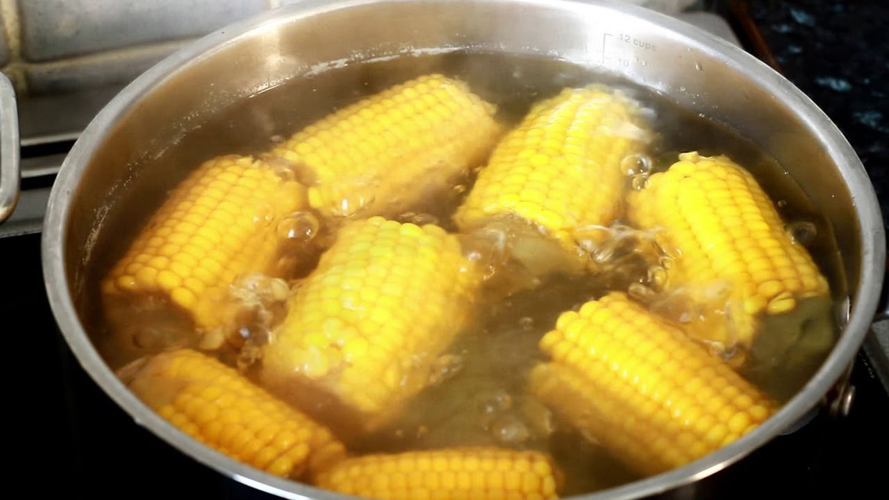 Sweet Corn
