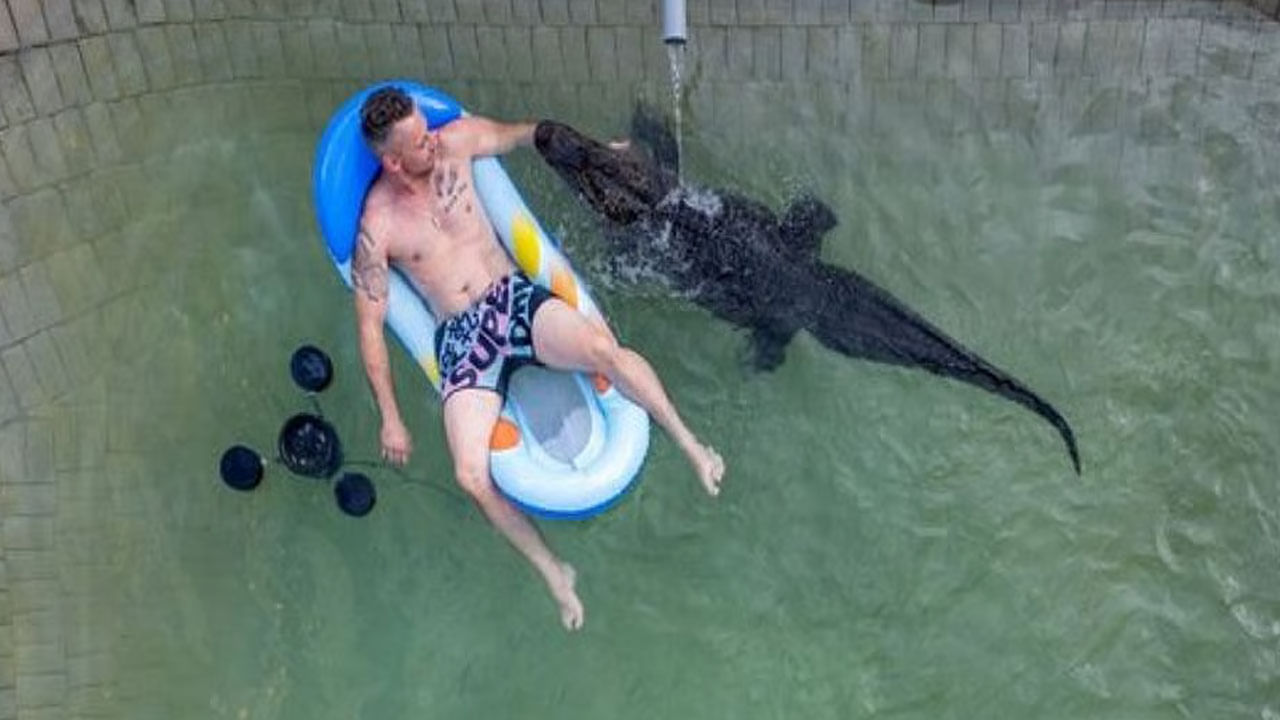 Viral Video: భారీ మొసలితో కలిసి ఓ మనిసి ఈత కొట్టడం చూశారా..? వైరల్ వీడియోతో నెటిజన్స్ షాక్!