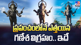 చూపు మందగించిందని డాక్టర్ దగ్గరికి వెళ్లిన వ్యక్తి.. కంట్లో ఉన్న జీవిని చూసి వైద్యులు షాక్‌ వీడియో