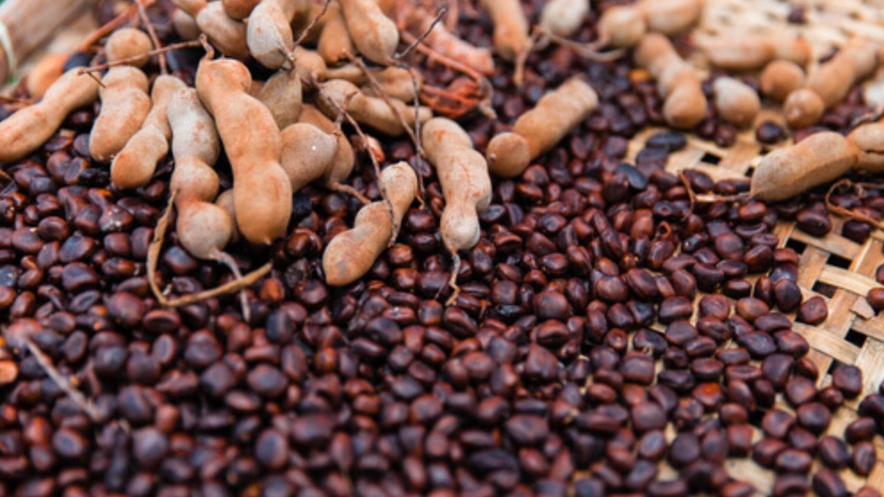 చింతపండు కీళ్ల నొప్పులకు మంచిదేనా..? ఎవరు తినాలి.. ఎవరు తినకూడదు..?