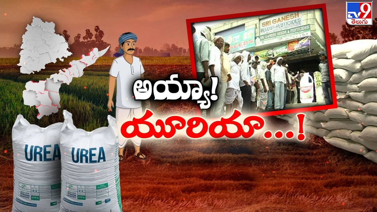 Telangana: సాగు చేస్తున్న ప్రతి గ్రామంలో యూరియా కొరత... ఎందుకొచ్చిందీ పరిస్థితి?