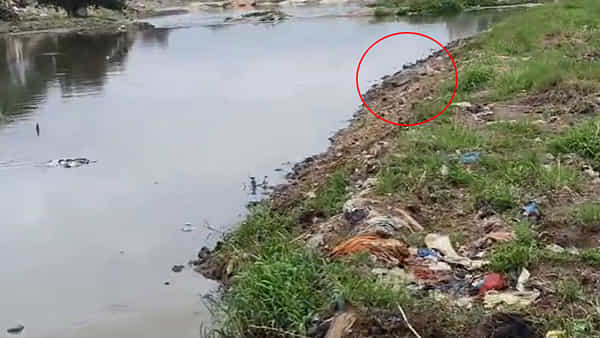 Hyderabad: మూసీ నది వెంబడి ఆగని చప్పుళ్లు.. ఏంటని కెమెరాకు పని చెప్పగా..