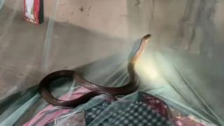 గిగా వర్కర్ల దశ మారబోతుంది.. చిన్న మార్పుతో భవిష్యత్తుకు బాటలు వేసుకోండిః ప్రొఫెసర్ అమితాబ్