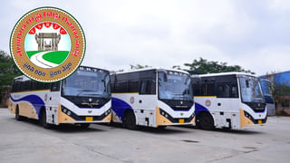 Cotton farmers: పత్తి రైతులకు శుభవార్త.. ఈ యాప్​లో ఎంట్రీ చేసుకుంటే క్వింటాకు రూ.8,110..!