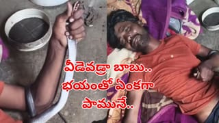 Viral Video: అగ్నిపర్వతం సాక్షిగా వీడి జీవితం బలి… విస్పోటనం మధ్య  ప్రియురాలికి ప్రపోజ్‌… నెటిజన్స్‌ ఫన్నీ కామెంట్స్‌