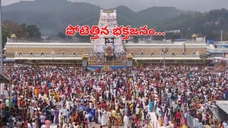 TTD: గుడికో గోమాత.. దేశవ్యాప్తంగా ఆలయాలకు టీటీడీ ఆవులు! ఇప్పటివరకు ఎన్ని అందించారంటే!