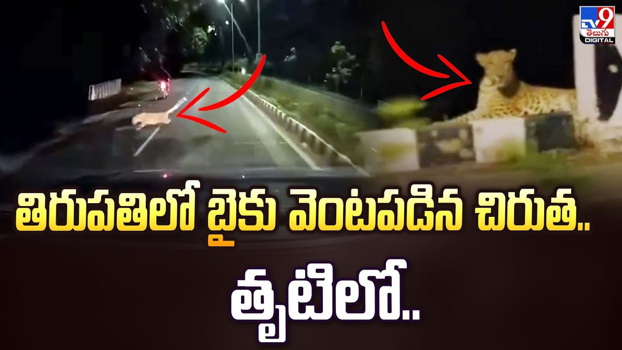 తిరుపతిలో బైకు వెంటపడిన చిరుత.. తృటిలో..