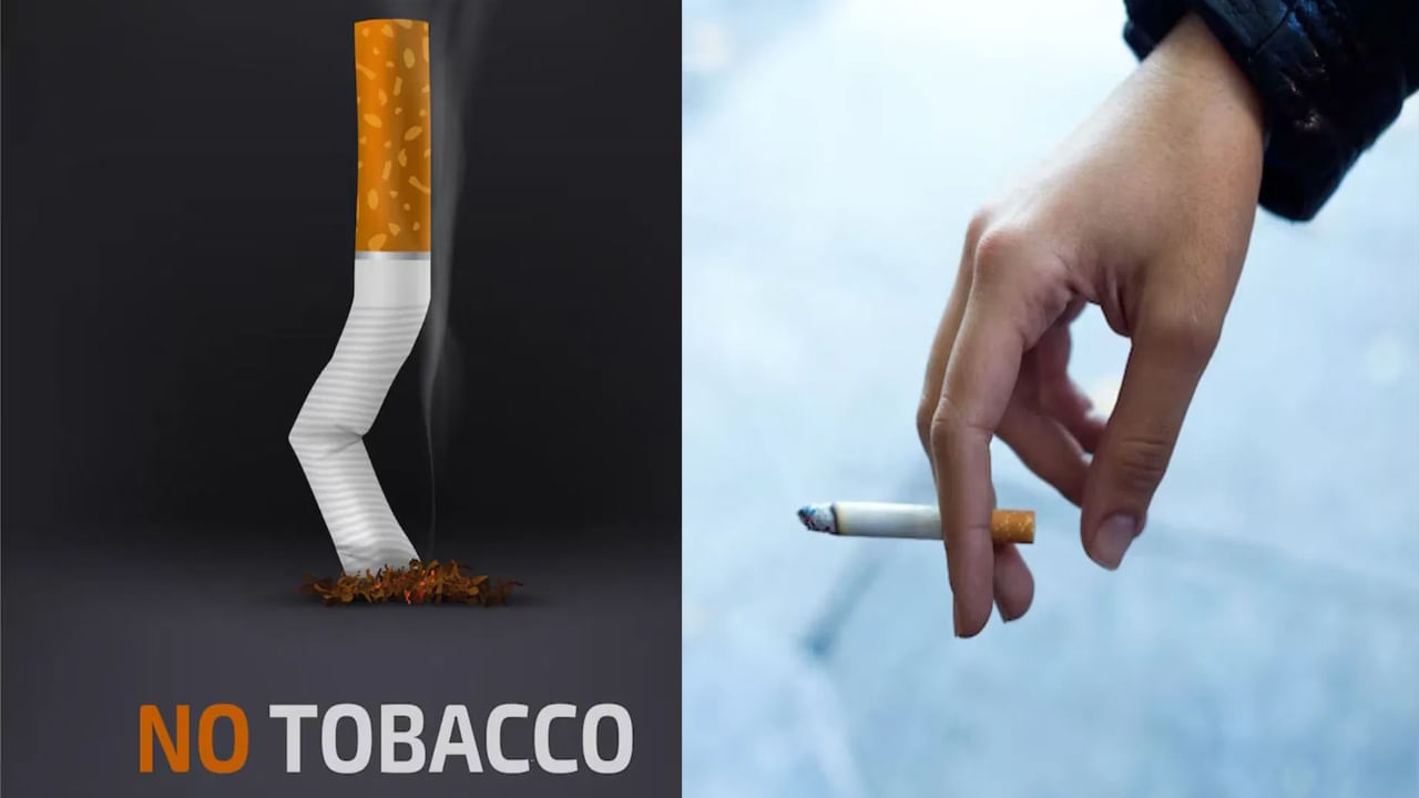 Tobacco 3