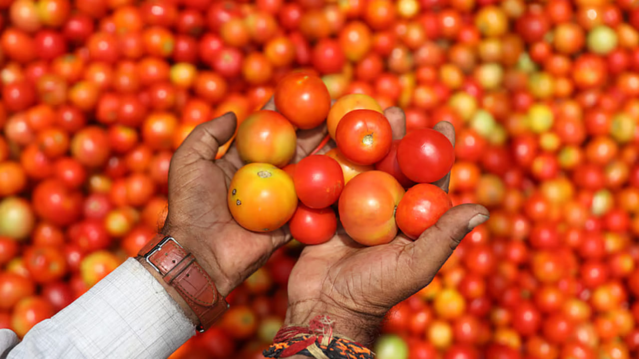 Hyderabad: అరెరె.. పేద, మధ్యతరగతి వర్గాలకు మరో దెబ్బ.. పైకి ఎగబాకిన టమోటా ధర