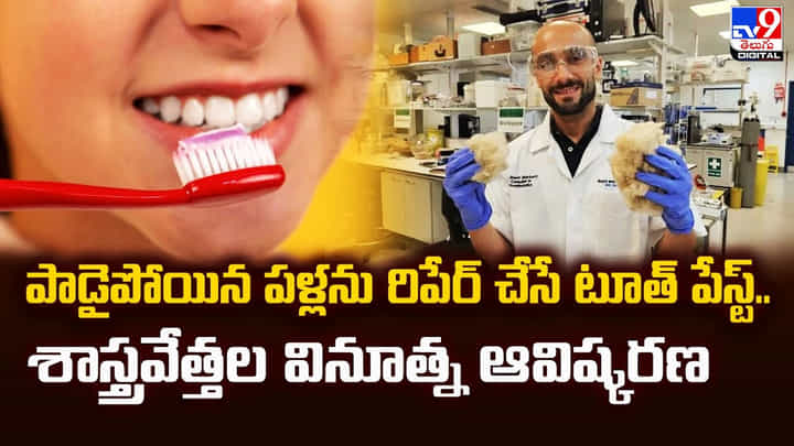 పాడైపోయిన పళ్లను రిపేర్ చేసే టూత్ పేస్ట్.. శాస్త్రవేత్తల వినూత్న ఆవిష్కరణ పాడైపోయిన పళ్లను రిపేర్ చేసే టూత్ పేస్ట్.. శాస్త్రవేత్తల వినూత్న ఆవిష్కరణ