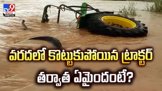 Viral Video: ఎంతకు తెగించార్రా.. దొంగలు ఏం దొబ్బేశారో తెలిస్తే బిత్తరపోతారు..