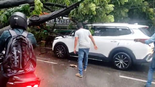 విడాకులు తీసుకునే ముందు.. ముహూర్తం కోసం జ్యోతిష్కుడిని అడగండి: సుప్రీం కోర్టు