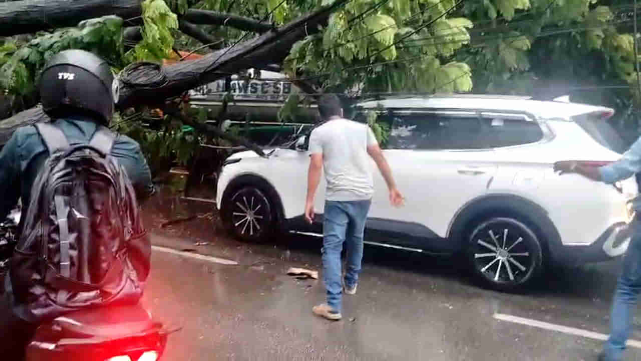 Rains Video: హైదరాబాద్‌లో వర్ష బీభత్సం... వాహనాలపై కూలిన భారీ వృక్షం