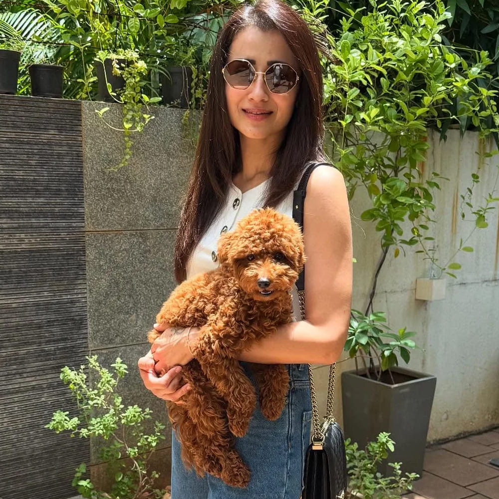 త్రిష స్టార్ హీరోయిన్ గా దూసుకుపోతుంది. కాగా ఈ అమ్మడి వయసు 42 .. అయినా కూడా తరగని అందంతో కుర్రకారుని కట్టిపడేస్తుంది ఈ చిన్నది. ఏమాత్రం తగ్గని వన్నెతో కుర్ర హీరోయిన్స్ కు గట్టి పోటీ ఇస్తుంది. ఈ ముద్దుగుమ్మ లేటెస్ట్ ఫోటోల పై నెటిజన్స్ క్రేజీ కామెంట్స్ చేస్తున్నారు. 