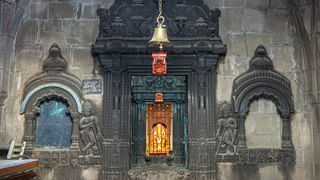 Snail Attack: రాత్రికి రాత్రే పంట మాయం చేసే నత్తలు.. వీటి బెడద తగ్గాలంటే ఇలా చేయండి..