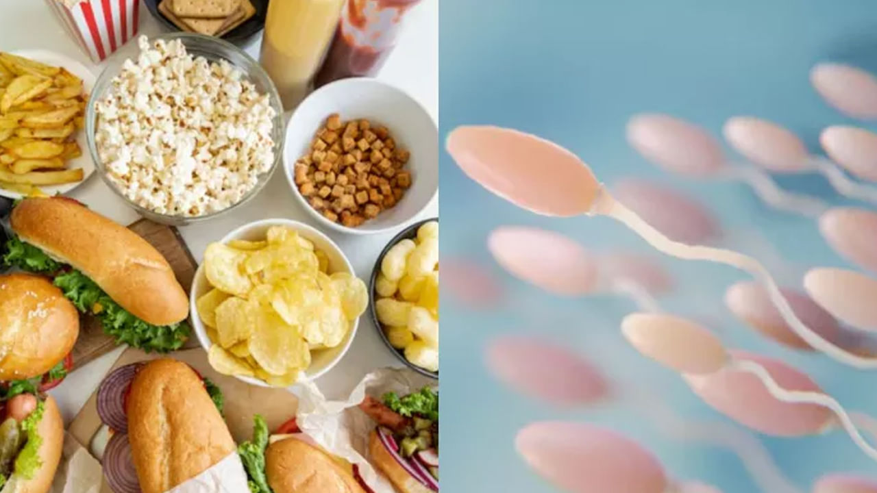 Lifestyle: అబ్బాయిలూ ఈ ఫుడ్స్ ఎక్కవగా తింటున్నారా? తస్మాత్ జాగ్రత్త.. అవైడ్ చేయకపోతే మీ స్పెర్మ్ కౌంట్ మటాషే