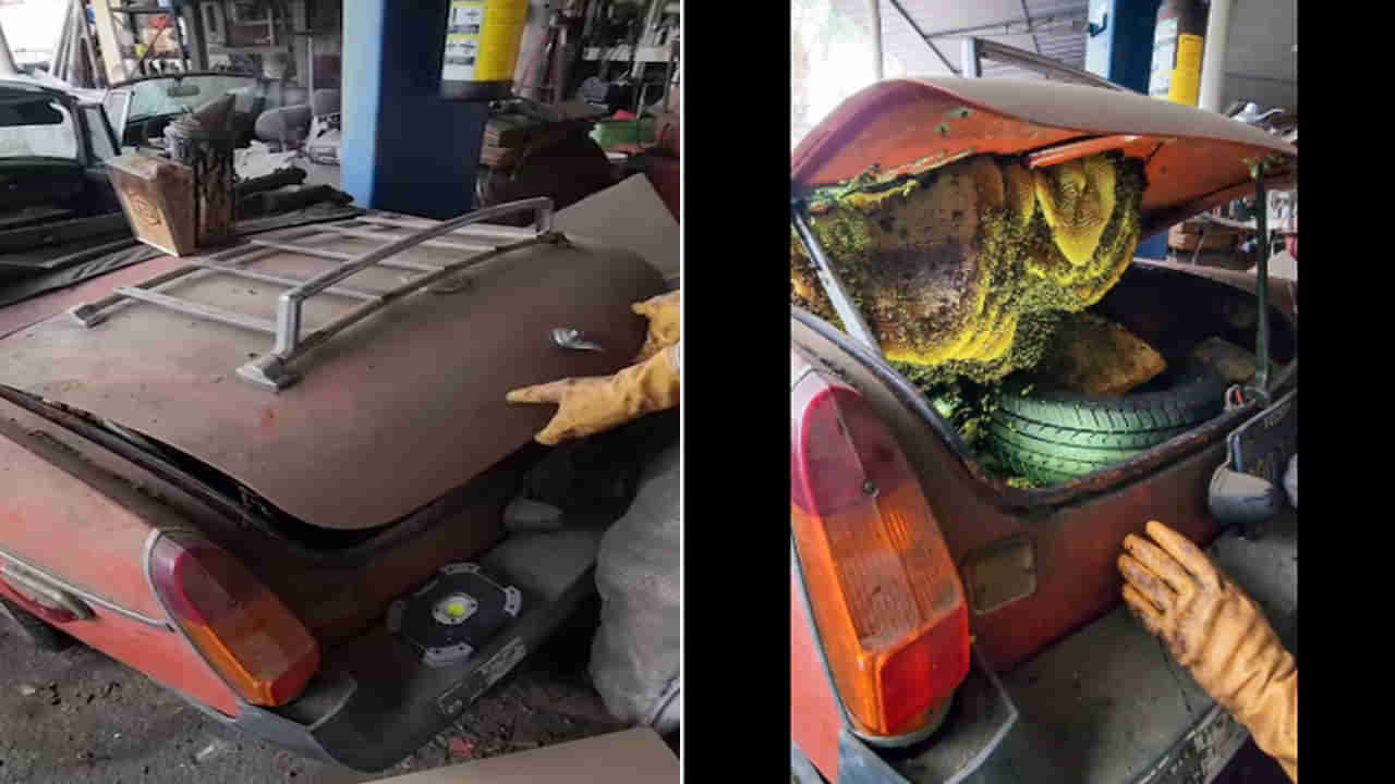 Watch: గ్యారేజీలో వదిలేసిన పాతకారులోంచి భయంకర శబ్ధాలు...కారణం తెలిసినా సిబ్బంది పరుగో పరుగు..!