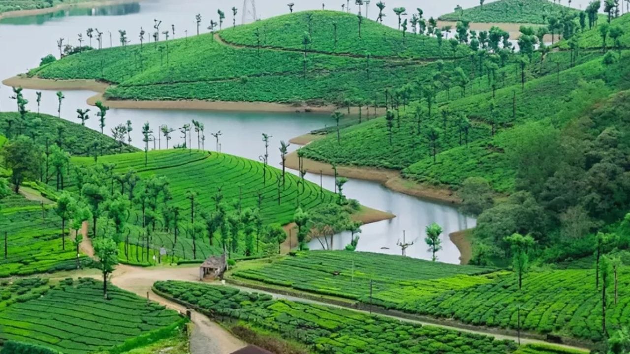 వాల్పరై (Valparai).. కేరళ సరిహద్దుకు దగ్గరగా ఉన్న వాల్పరై.. ప్రకృతితో కలిసిపోవాలనుకునే వారికి ఒక మర్చిపోలేని అనుభవాన్ని అందిస్తుంది. అలియార్ డ్యామ్, మంకీ ఫాల్స్ లాంటి ప్రదేశాలను ఈ వర్షాకాలంలో చూడటం ఒక ప్రత్యేకమైన ఆనందం.