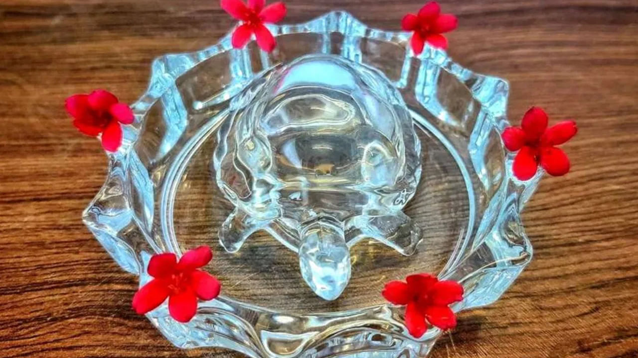 ఇంటిలో తాబేలు విగ్రహం లేదా తాబేలు పెట్టుకోవడం వలన ఆర్థికంగా కలిసి వస్తుందంట. వాస్తు శాస్త్రం ప్రకారం, ఇంటిలోపల లోహపు తాబేలు ఉంచుకోవడం వలన ఆర్థిక సమస్యలు తగ్గిపోయి సంపద పెరుగుతుందంట. ఎందుకంటే? తాబేలు విష్ణువు అవతారం, అయితే ఇంటిలోపల ఈ విగ్రహం పెట్టుకోవడం వలన విష్ణు అనుగ్రహం వలన సంపద తరగదంట.