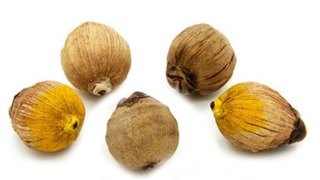 ఆర్థిక సమస్యల నుంచి బయటపడాలి అంటే, సాధారణ కొబ్బరికాయ కంటే చాలా చిన్న కొబ్బరికాయను ఇంటిలో పెట్టుకోవడం వలన ఆర్థికంగా కలిసి వస్తుందంట. ఇలాంటి కొబ్బరికాయ ఎవరి ఇంటిలో పెడుతారో, వారి ఇంట్లో ఎప్పుడూ ఆహారానికి, డబ్బుకు కొరత ఉండదు అని చెబుతున్నారు వాస్తు శాస్త్ర నిపుణులు.