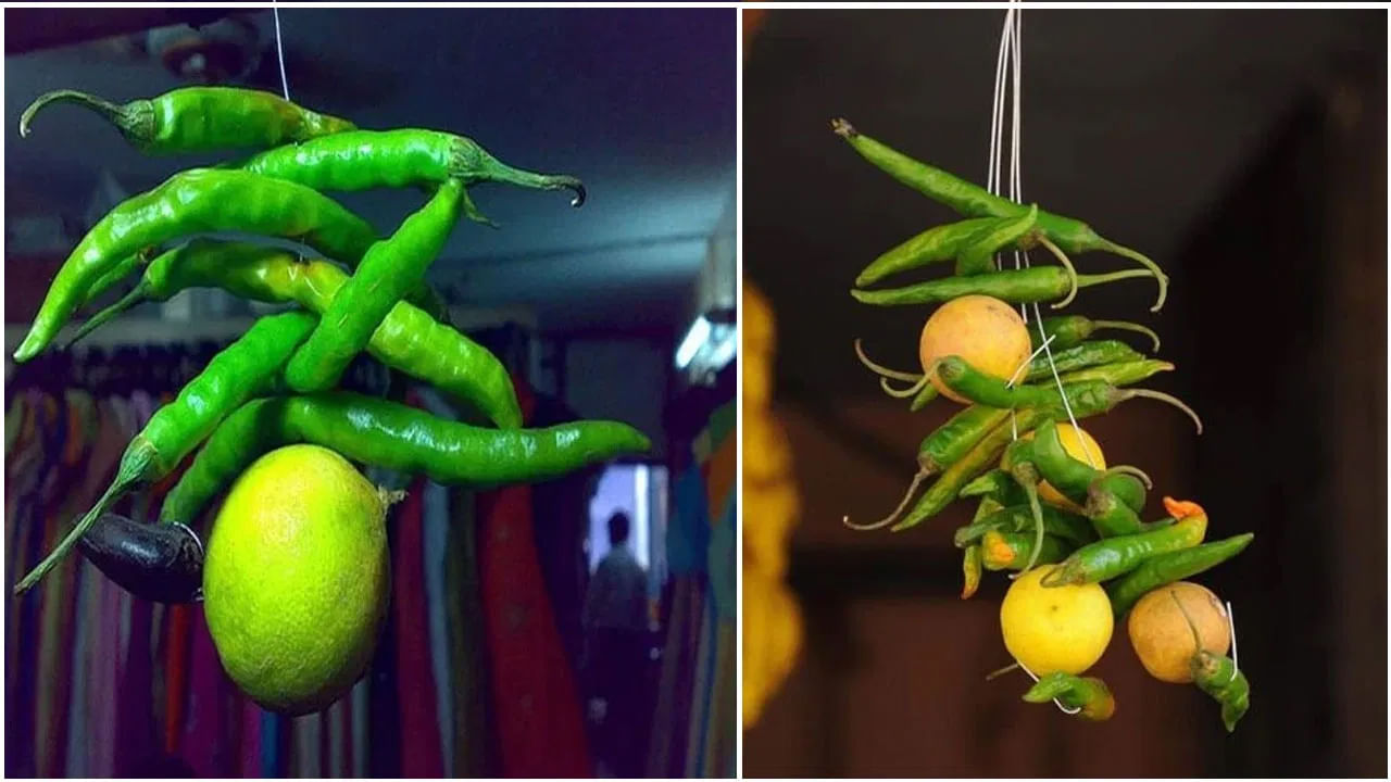 అయితే భారతీయ సంప్రదాయం ప్రకారం నిమ్మకాయ, మిరపకాయలను ఇంటి ప్రధాన ద్వారానికి వేలాడదీయడానికి ముఖ్య కారణం నరదిష్టి తగలకుండా, లేదా చెడు దృష్టి నుంచి తమను కాపాడుకోవడానికి , వ్యాపారంలో ముందడుగు కోసం, ఇతరుల అసూయ నుంచి తమను రక్షించుకోవడానికి వీటిని కడుతుంటారు. ఇవి ప్రతికూల శక్తి , చెడు దృష్టి నుంచి తమను రక్షిస్తాయని వారి నమ్మకం.