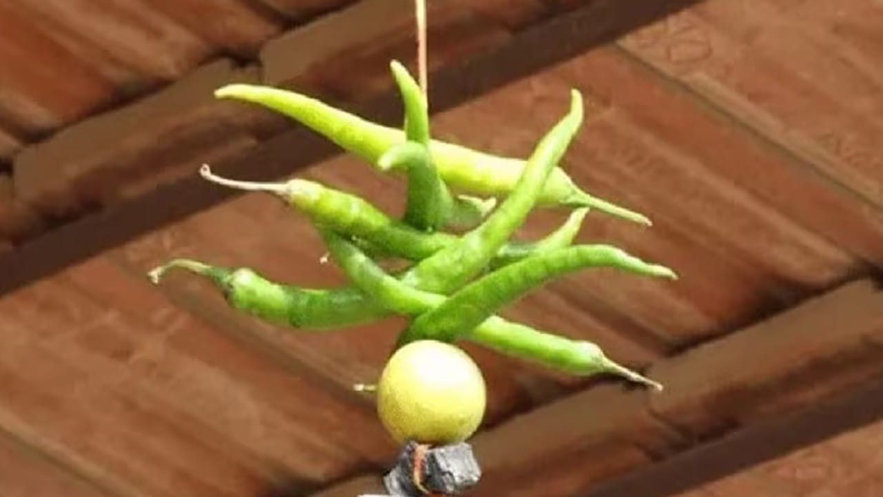 ఇదే కాకుండా మరో కారణం కూడా ఉన్నదని చెబుతున్నారు పండితులు. అది ఏమిటంటే? లక్ష్మీదేవినే కాకుండా తన సోదరి అలక్ష్మీతో ఈ అమ్మవారు కలిసి ఉంటుంది. చాలా మంది లక్ష్మీదేవి ఇంటిలోకి రావాలని కోరుకుంటారు. ఎందుకంటే లక్ష్మీ దేవి సంపదకు చిహ్నం. ఇక అలక్ష్మీ పేదరికం, విభేదాలకు కారణం అయితే, లక్ష్మీదేవితో పాటు అలక్ష్మి తమ ఇంటిలోకి ప్రవేశించకుండా ఉండకూడదని, తమకు ఇష్టమైన పుల్లటి మరి కారం గా ఉండే మిరపకాయలను, నిమ్మకాయలను గుమ్మనికి కడతారంట. అలక్ష్మి వాటిని తిని సంతృప్తి చెంది, ఇంటిలోపలికి ప్రవేశించదంట.