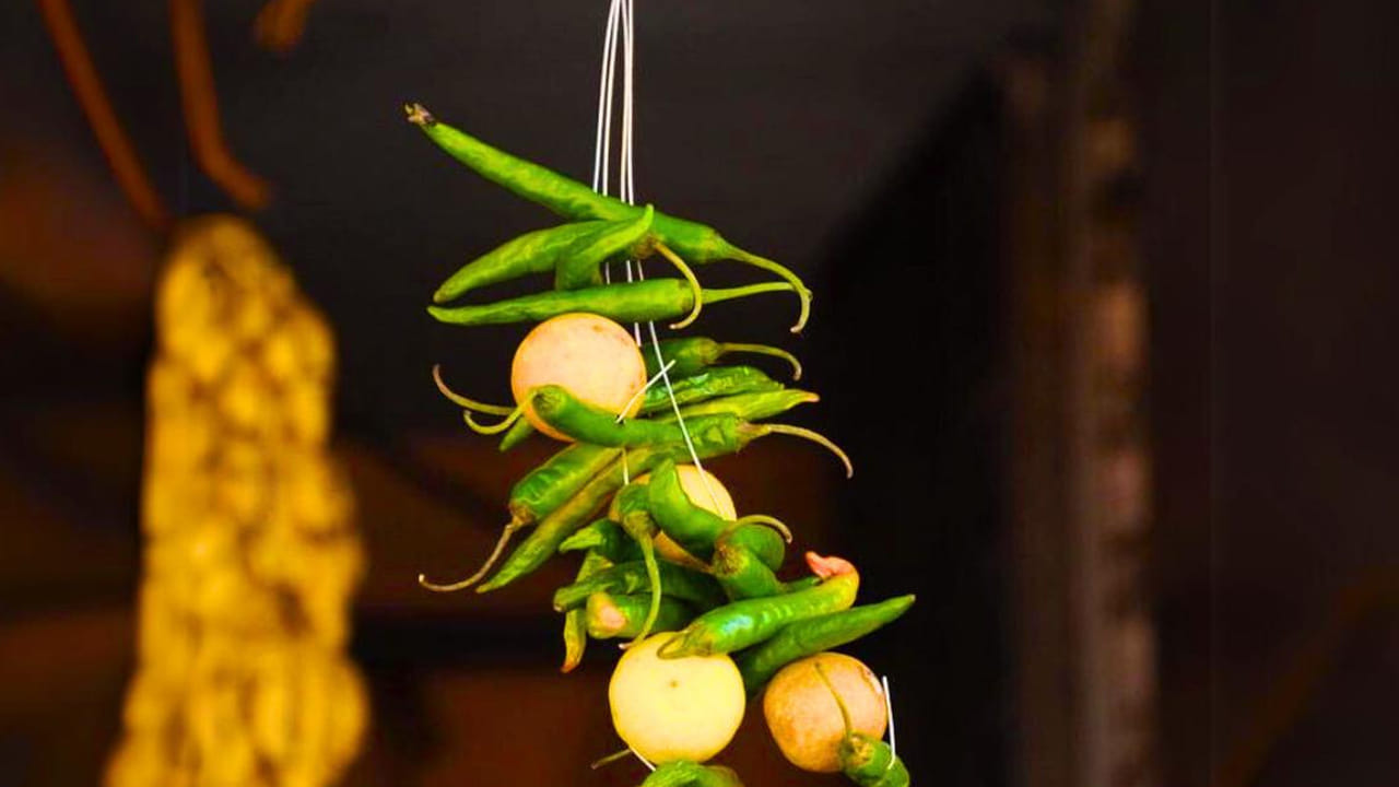 అయితే మూఢనమ్మకాల ప్రకారమే కాకుండా, దీనికి శాస్త్రీయ కారణం ఉన్నదని చెబుతున్నారు పండితులు. ఎందుకంటే? నిమ్మకాయ, మిరపకాయ రెండూ కూడా యాంటీ బ్యాక్టీరియల్, యాంటీ ఫంగల్ లక్షణాలను కలిగి ఉంటుంది. అయితే వీటి నుంచి వెలువడే వాసన ఇంటి చుట్టూ ఉన్న గాలిని శుద్ధి చేసి చెడు బ్యాక్టీరియనులోపలికి రాకుండా చేస్తుందని వీటిని గుమ్మానికి కడతారంట.