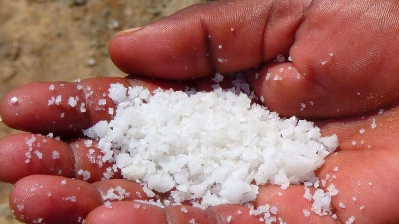 వాస్తు శాస్త్రం ప్రకారం ఉప్పును ఎట్టిపరిస్థితుల్లో అరువు తీసుకొచ్చుకోకూడదంట. ఇది సంపద, లక్ష్మీ దేవికి చిహ్నం. అయితే దీనిని అరువు తెచ్చుకోవడం వలన శని దోషం పెరుగుతుందంట. దీని వలన తరచూ అనారోగ్య సమస్యలు, డబ్బు కోల్పోవడం వంటి సమస్యలు ఎదురు అవుతాయని చెబుతున్నారు ఆరోగ్య నిపుణులు.