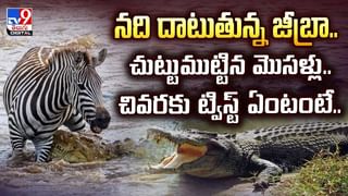 కూరగాయల్ని నీటిలో ఉడికిస్తున్నారా? ఆవిరి పడుతున్నారా? ఏది మంచిదంటే?