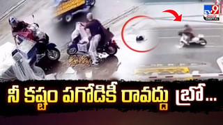 Viral Video: క్యాష్‌బాక్స్‌ నుంచి డబ్బులు తీస్తుండగా ఊహించని సీన్.. కనిపించింది చూడగా