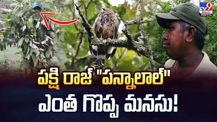 పక్షి రాజ్ పన్నాలాల్''ఎంత గొప్ప మనసు.. వీడియో పక్షి రాజ్ పన్నాలాల్''ఎంత గొప్ప మనసు.. వీడియో