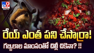 ఇదెక్కడి ఆచారం.. ఆ దుమ్ము,ధూళితో రోగాలన్నీ మాయం వీడియో