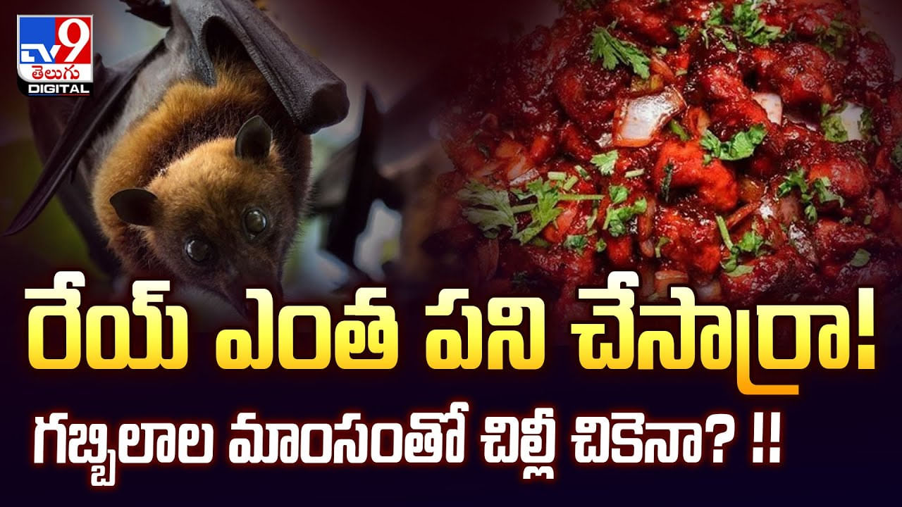 రేయ్ ఎంత పని చేసార్రా.. గబ్బిలాల మాంసంతో చిల్లీ చికెనా? వీడియో