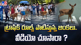 ఆ పని కోసం..రూ. కోటి వేతనం వదులుకున్నాడు వీడియో