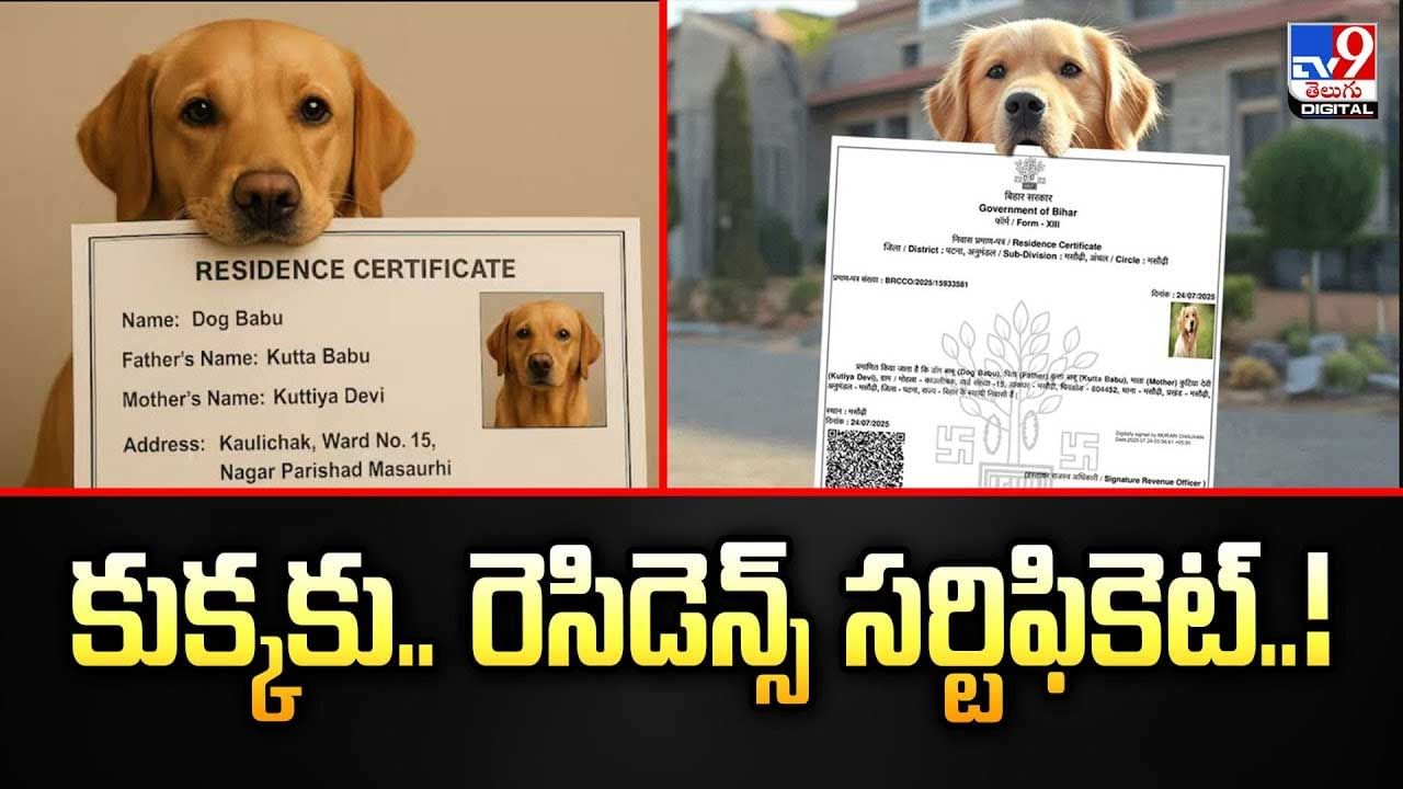 కుక్కకు.. రెసిడెన్స్ సర్టిఫికెట్ వీడియో కుక్కకు.. రెసిడెన్స్ సర్టిఫికెట్ వీడియో
